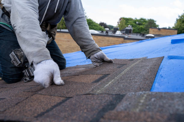 Quick and Trustworthy Emergency Roof Repair Services in California Polytechnic State University, CA